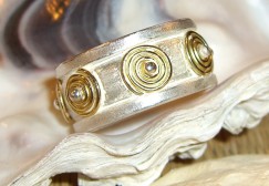 ring1