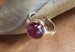 ring13
